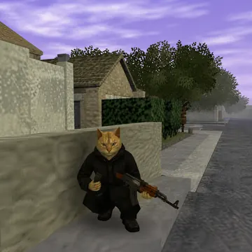 cat wif ak crouched behind cover